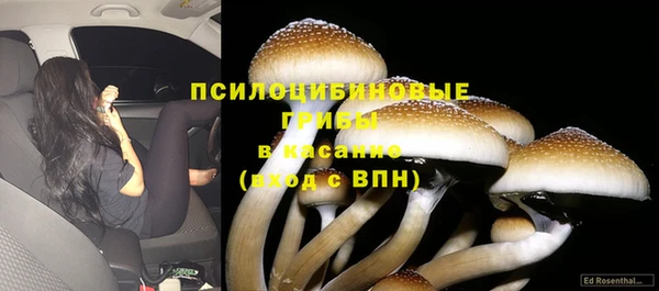 каннабис Богородск