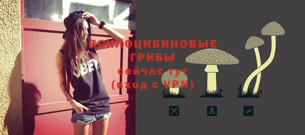 не бодяженный Богородицк
