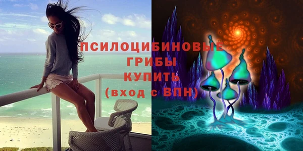 не бодяженный Богородицк
