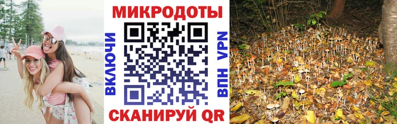 где продают наркотики  Невель  блэк спрут tor  Галлюциногенные грибы Magic Shrooms 